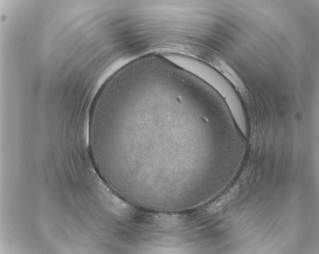 X0000088431036200705221242