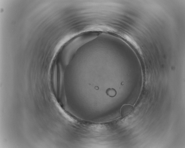 X0000088431037200705221242