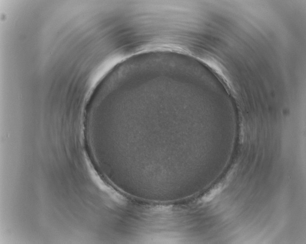 X0000088431038200705221242