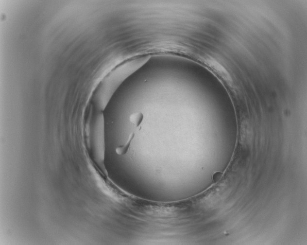 X0000088431039200705221242