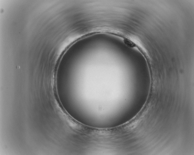 X0000088431040200705221242