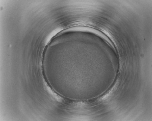 X0000088431042200705221242