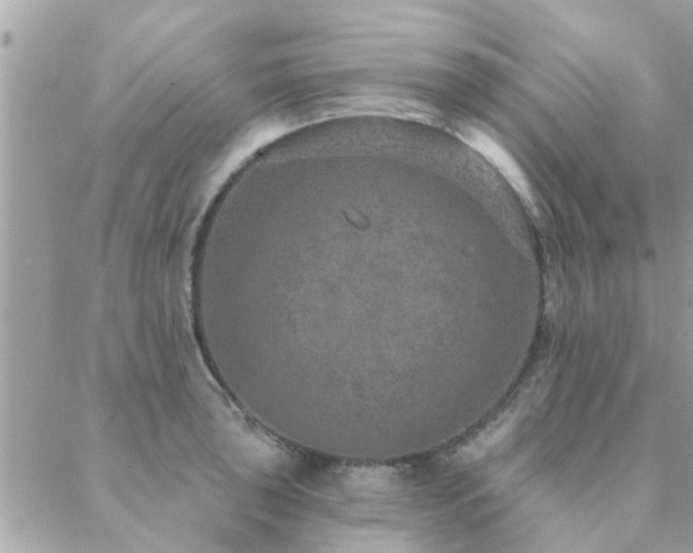 X0000088431043200705221242