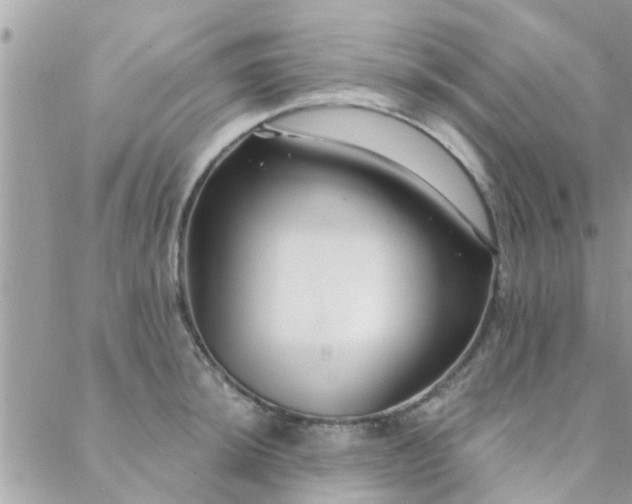 X0000088431044200705221242