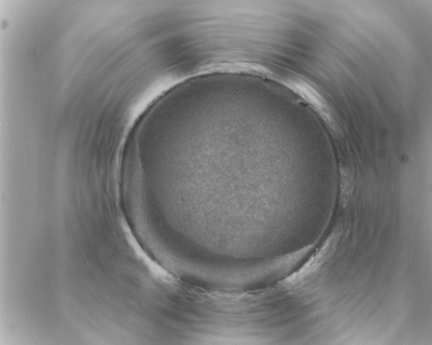 X0000088431046200705221242