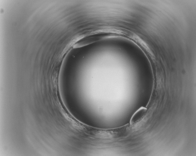 X0000088431049200705221242