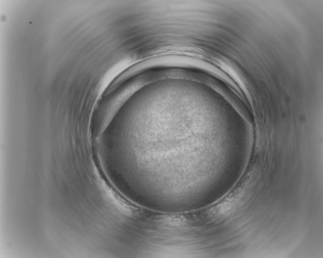 X0000088431050200705221242