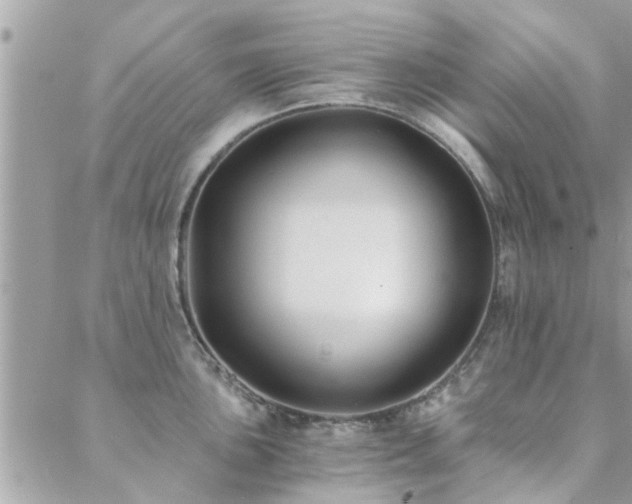 X0000088431051200705221242