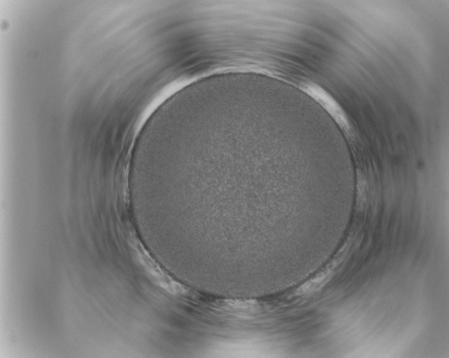 X0000088431052200705221242