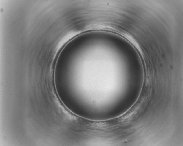 X0000088431053200705221242