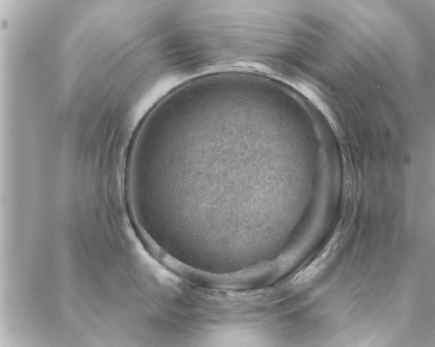 X0000088431054200705221242