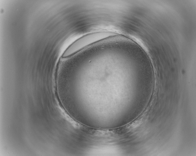 X0000088431056200705221242