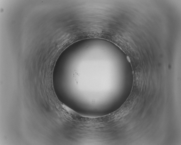 X0000088431057200705221242