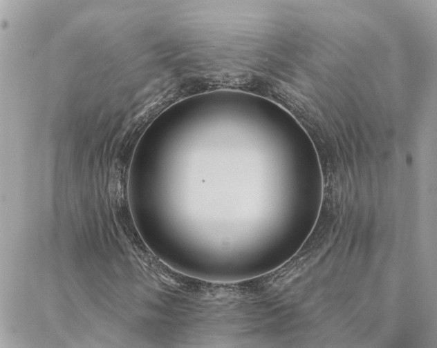 X0000088431058200705221242