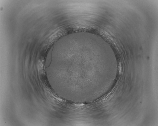 X0000088431059200705221242