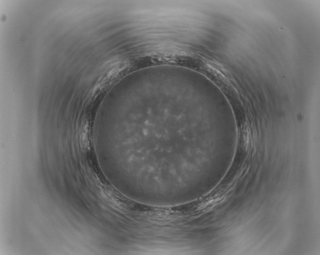 X0000088431060200705221241