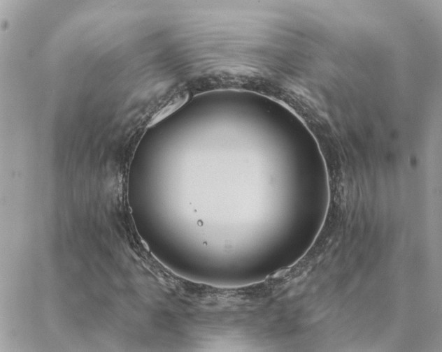 X0000088431061200705221241