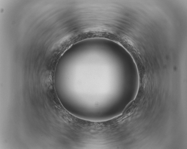 X0000088431062200705221241