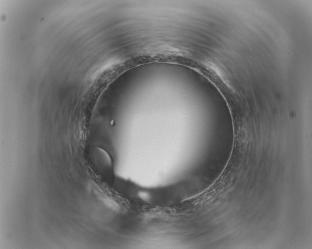 X0000088431063200705221241