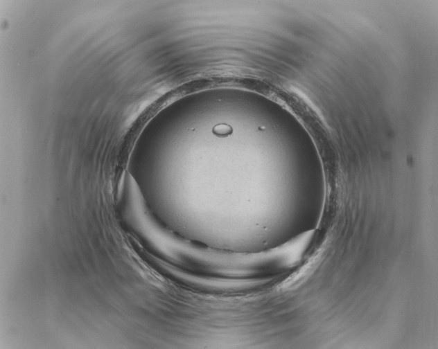 X0000088431065200705221241