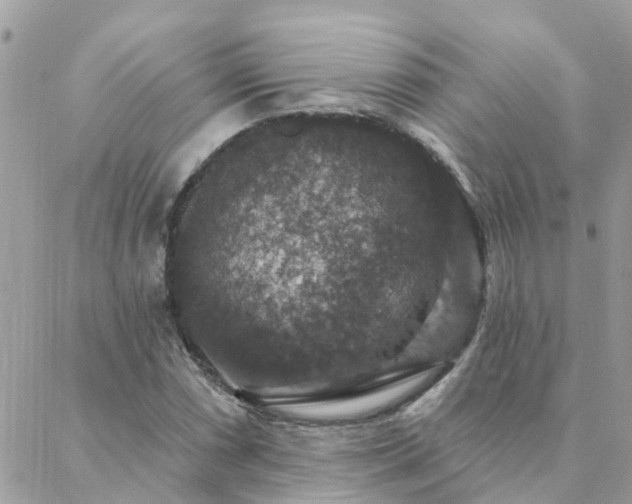 X0000088431066200705221241