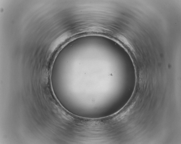 X0000088431067200705221241