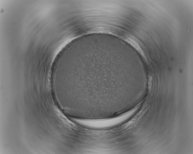 X0000088431068200705221241