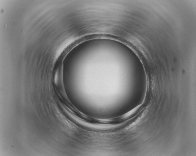 X0000088431069200705221241