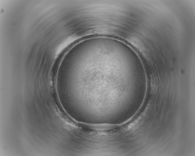 X0000088431070200705221241