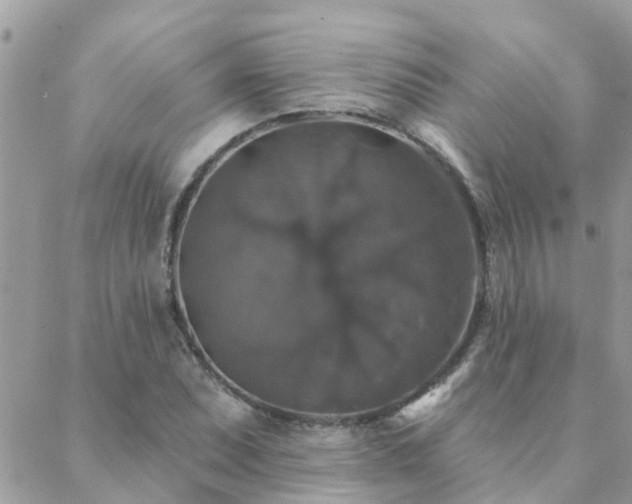 X0000088431071200705221241