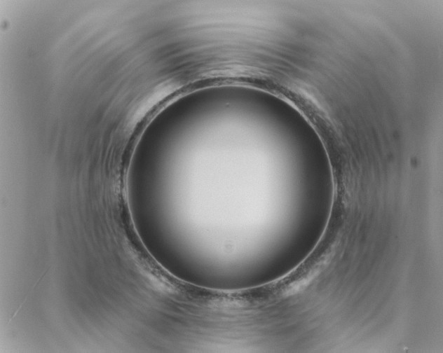 X0000088431073200705221241