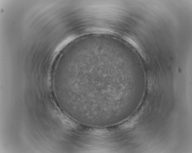 X0000088431074200705221241