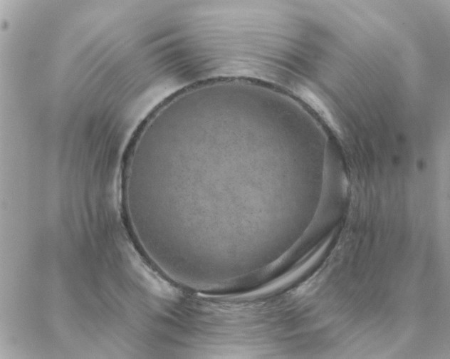 X0000088431076200705221241