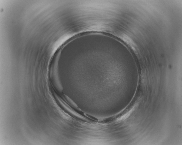 X0000088431077200705221241