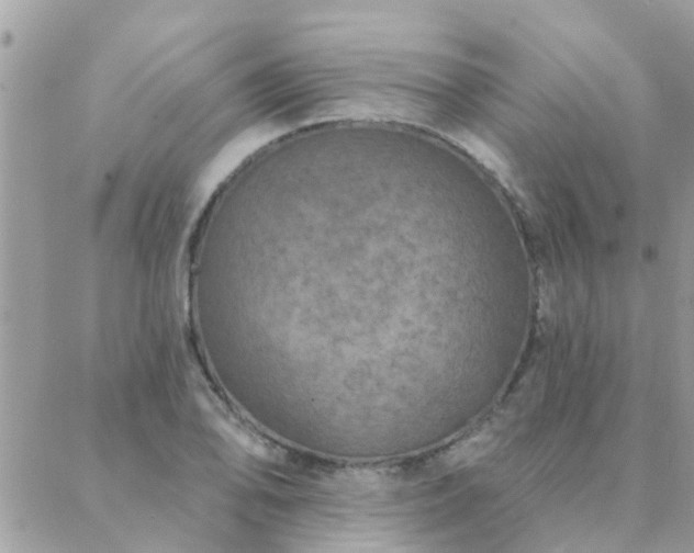 X0000088431078200705221241