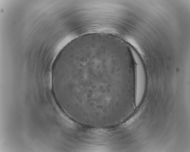 X0000088431079200705221241