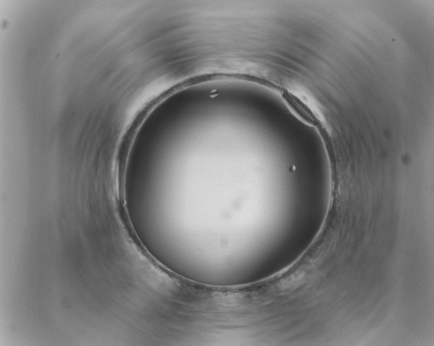 X0000088431080200705221241