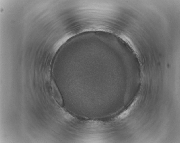 X0000088431081200705221241