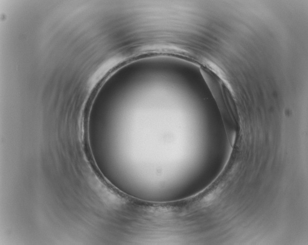 X0000088431082200705221241