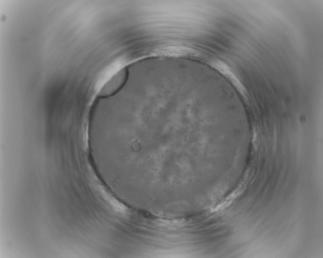 X0000088431083200705221241