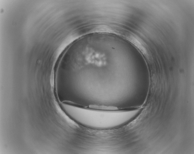 X0000088431084200705221241