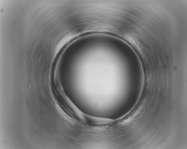 X0000088431085200705221241