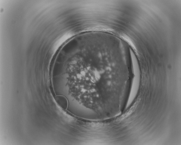 X0000088431087200705221241