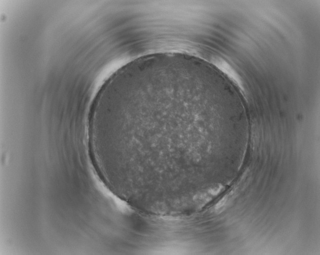 X0000088431088200705221241