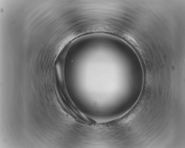 X0000088431089200705221241