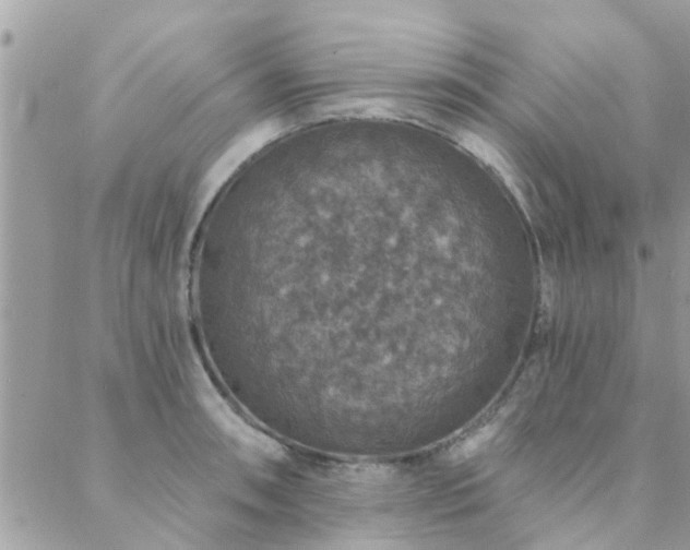 X0000088431090200705221241