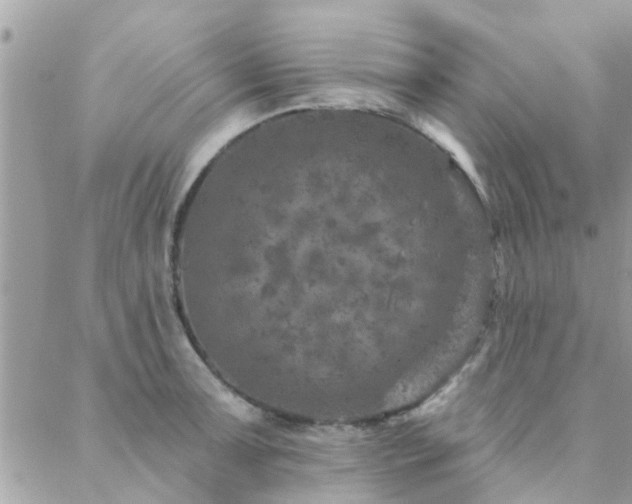 X0000088431091200705221241