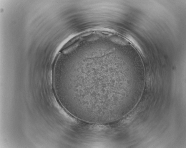 X0000088431092200705221241