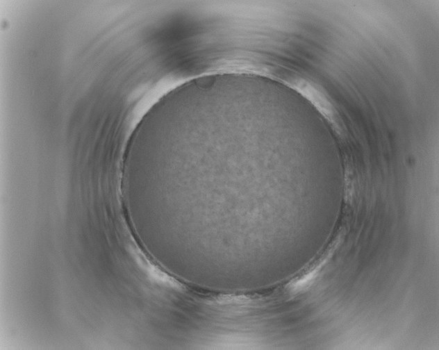 X0000088431094200705221241