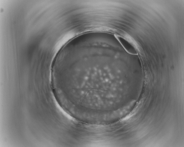 X0000088431095200705221241